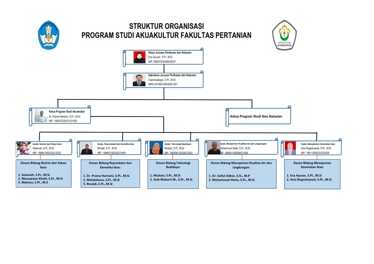 Struktur Organisasi